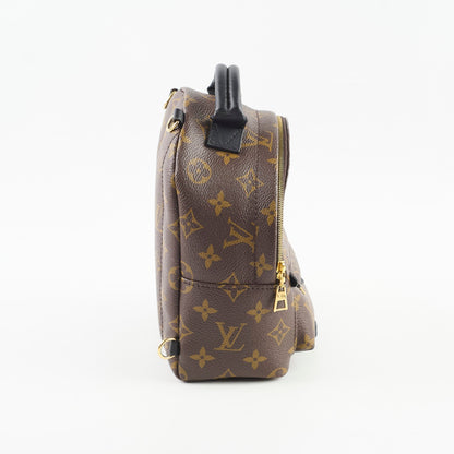 Louis Vuitton Mini Palm Spring Monogram - photo 2