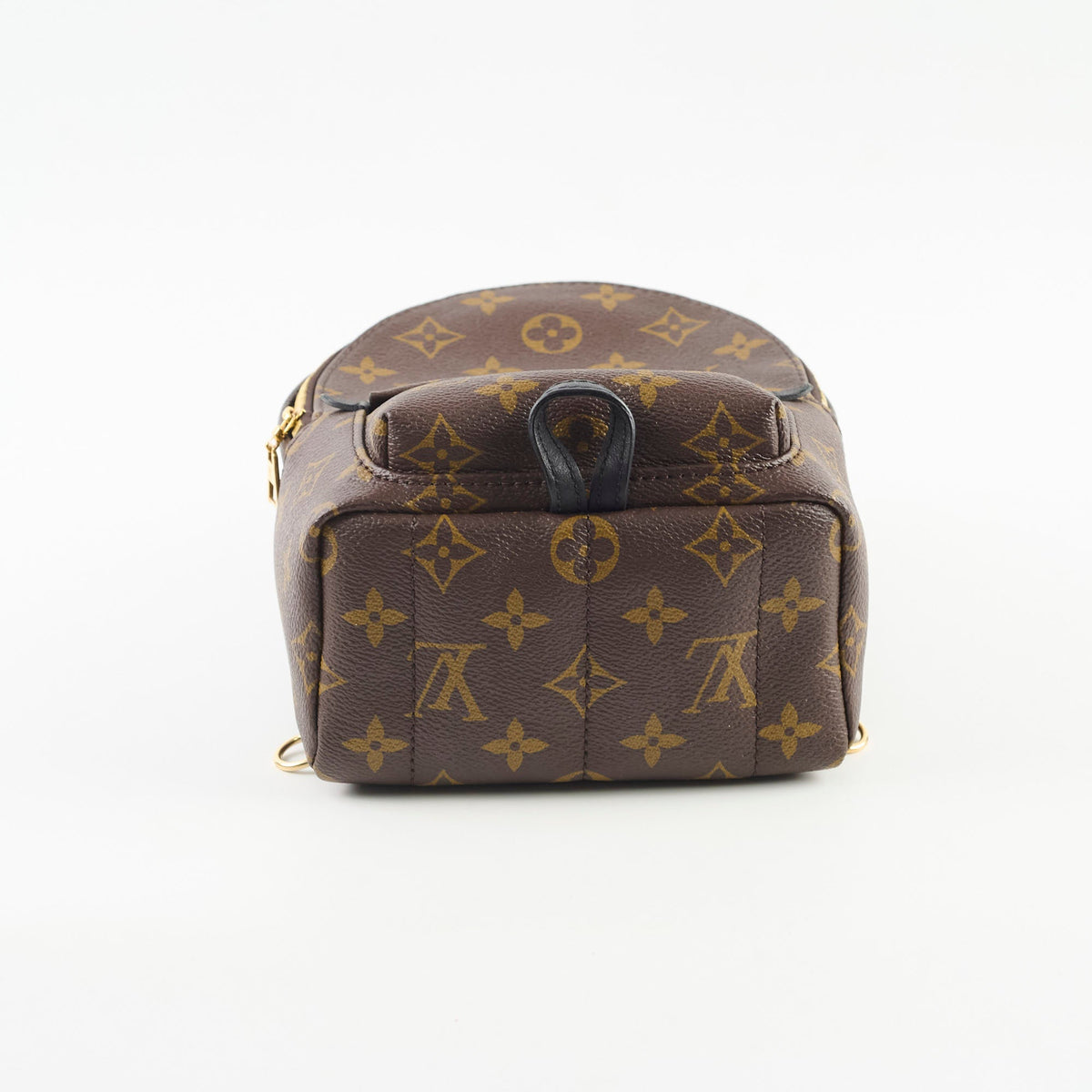 Louis Vuitton Mini Palm Spring Monogram - photo 4