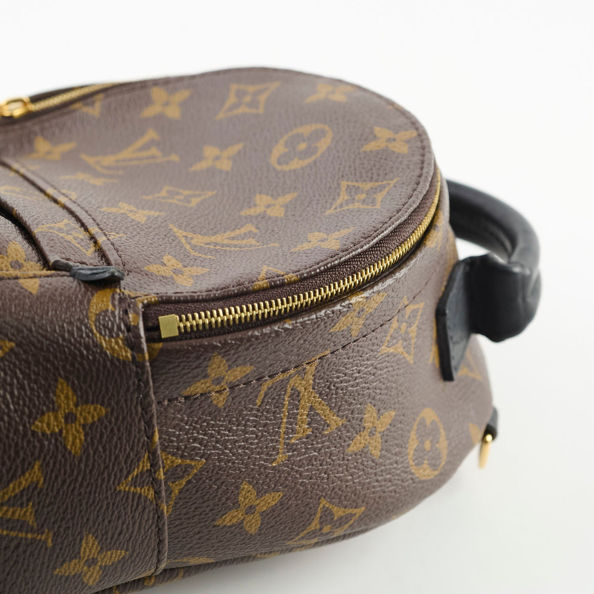 Louis Vuitton Mini Palm Spring Monogram - photo 5