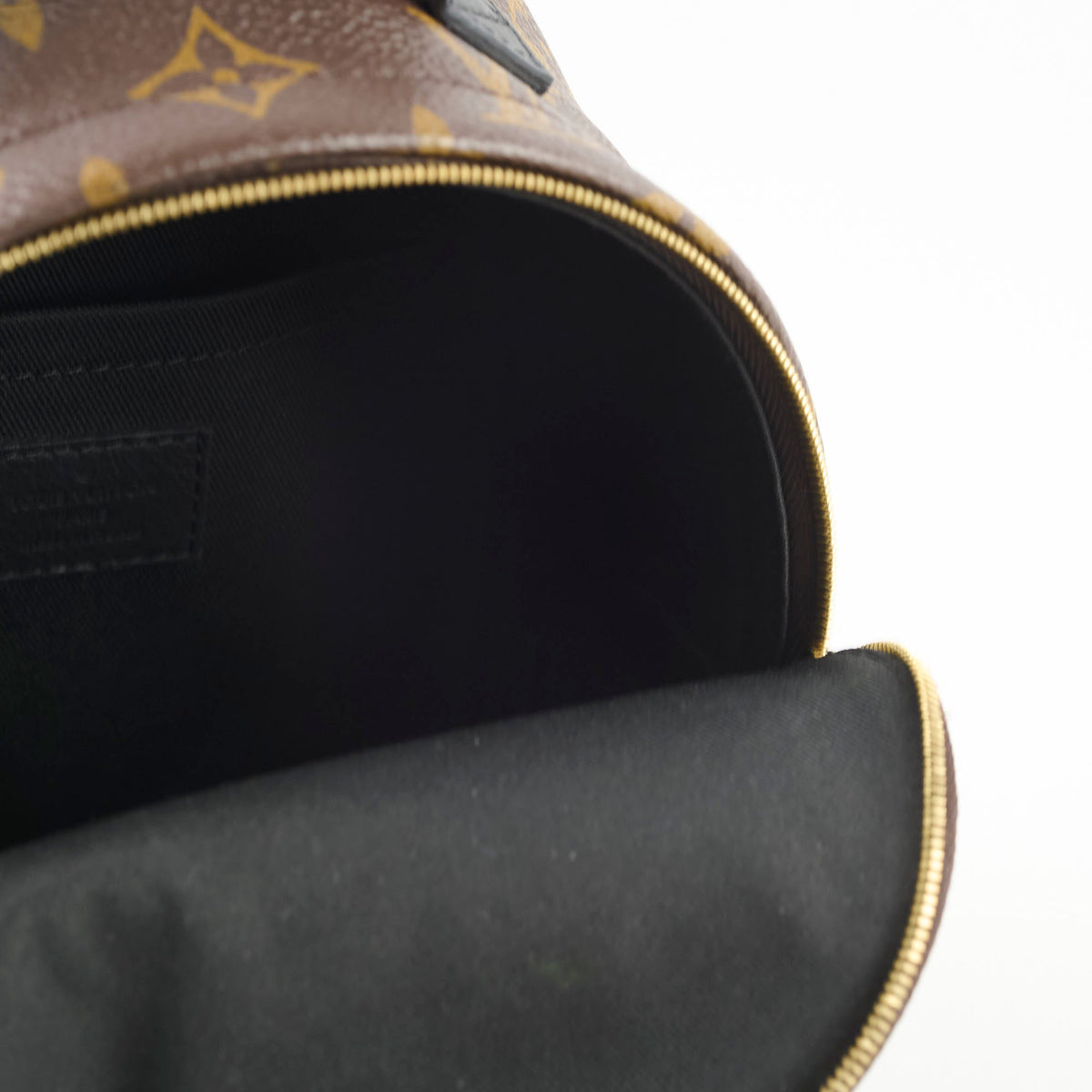 Louis Vuitton Mini Palm Spring Monogram - photo 7