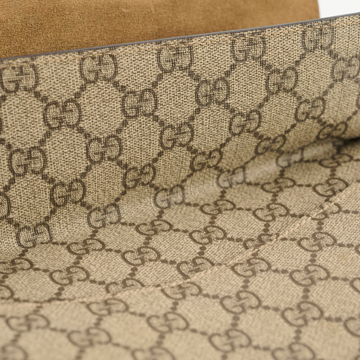 Gucci Dionysus Medium Beige - photo 12