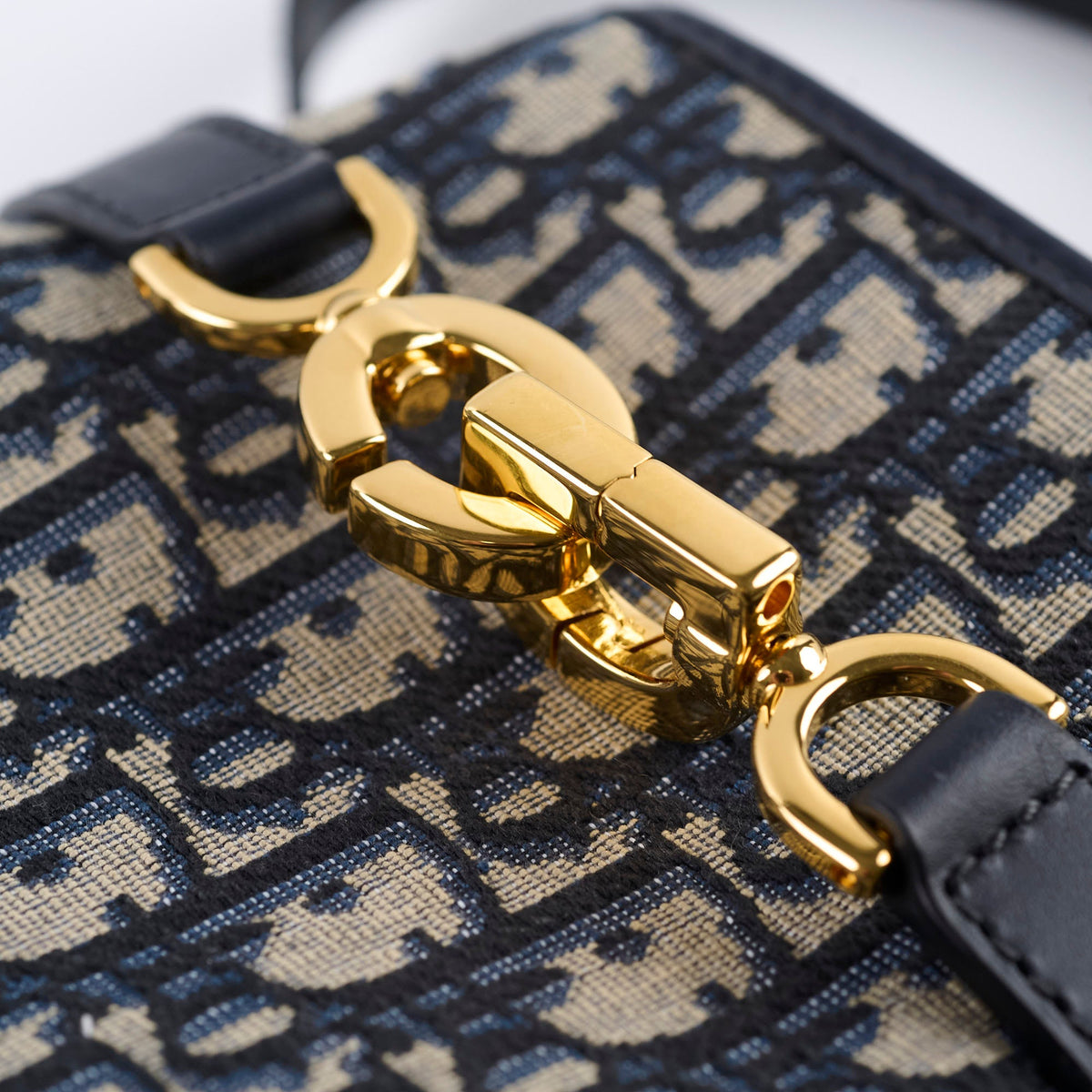 Christian Dior Medium C'est Dior Bag Blue Oblique - photo 14