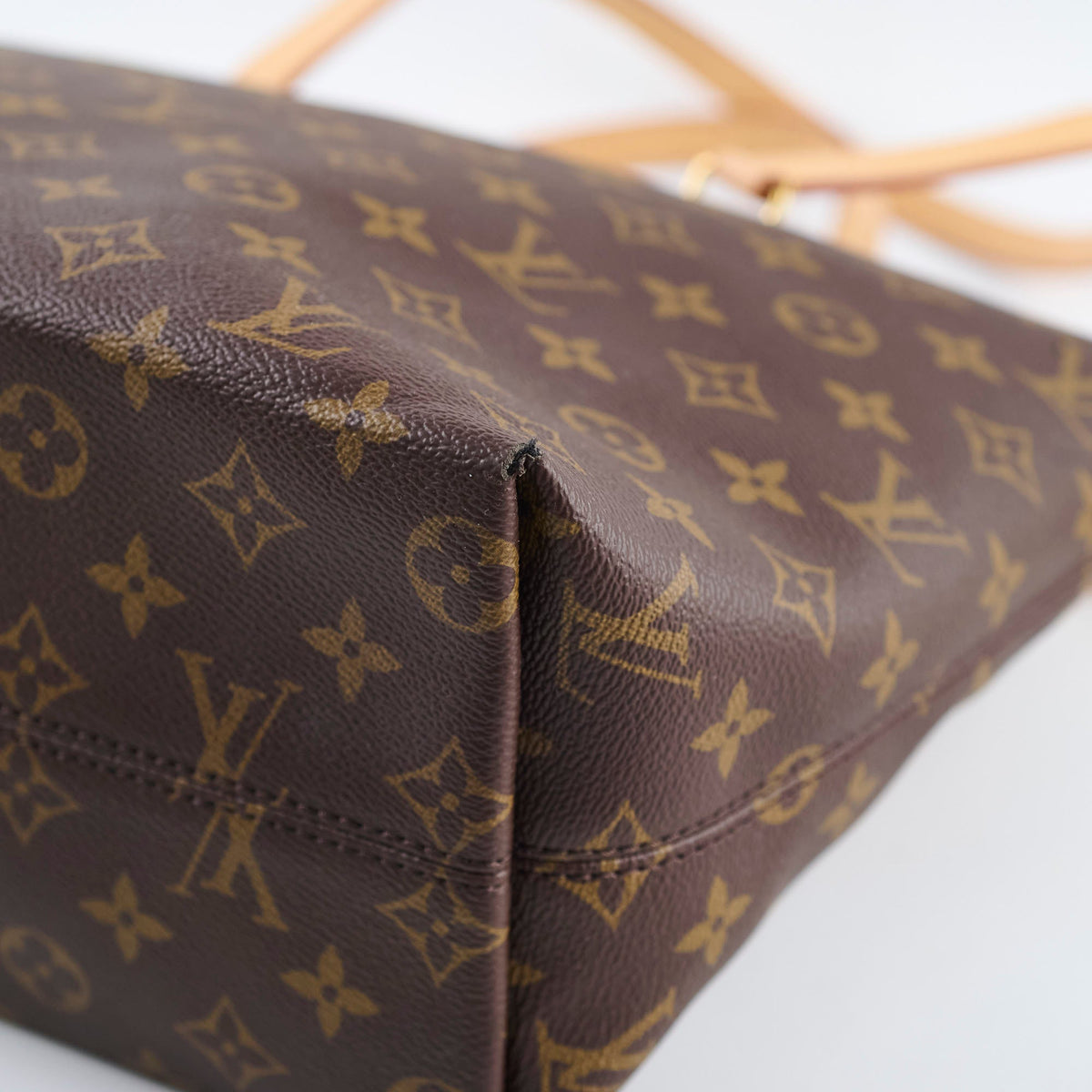 Louis Vuitton Iena Tote Bag PM Monogram - photo 7