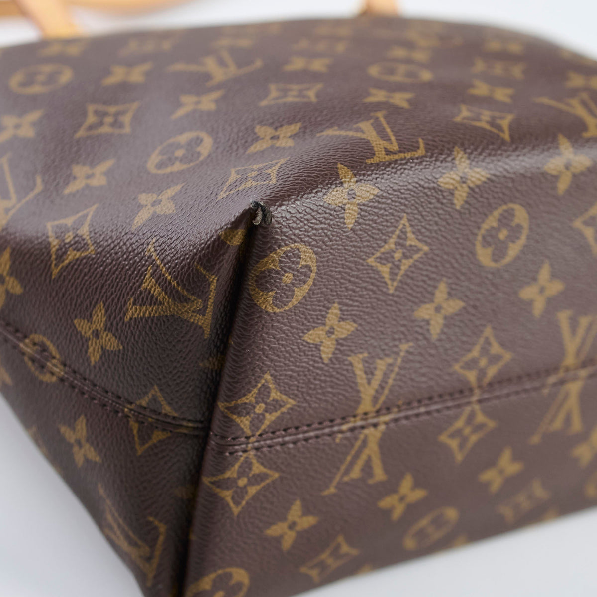 Louis Vuitton Iena Tote Bag PM Monogram - photo 9