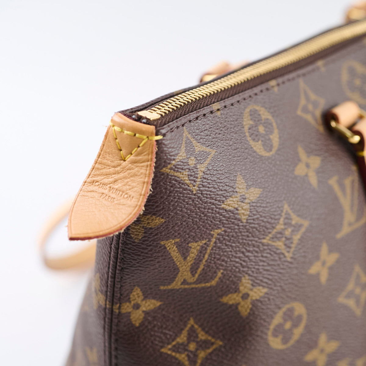 Louis Vuitton Iena Tote Bag PM Monogram - photo 10