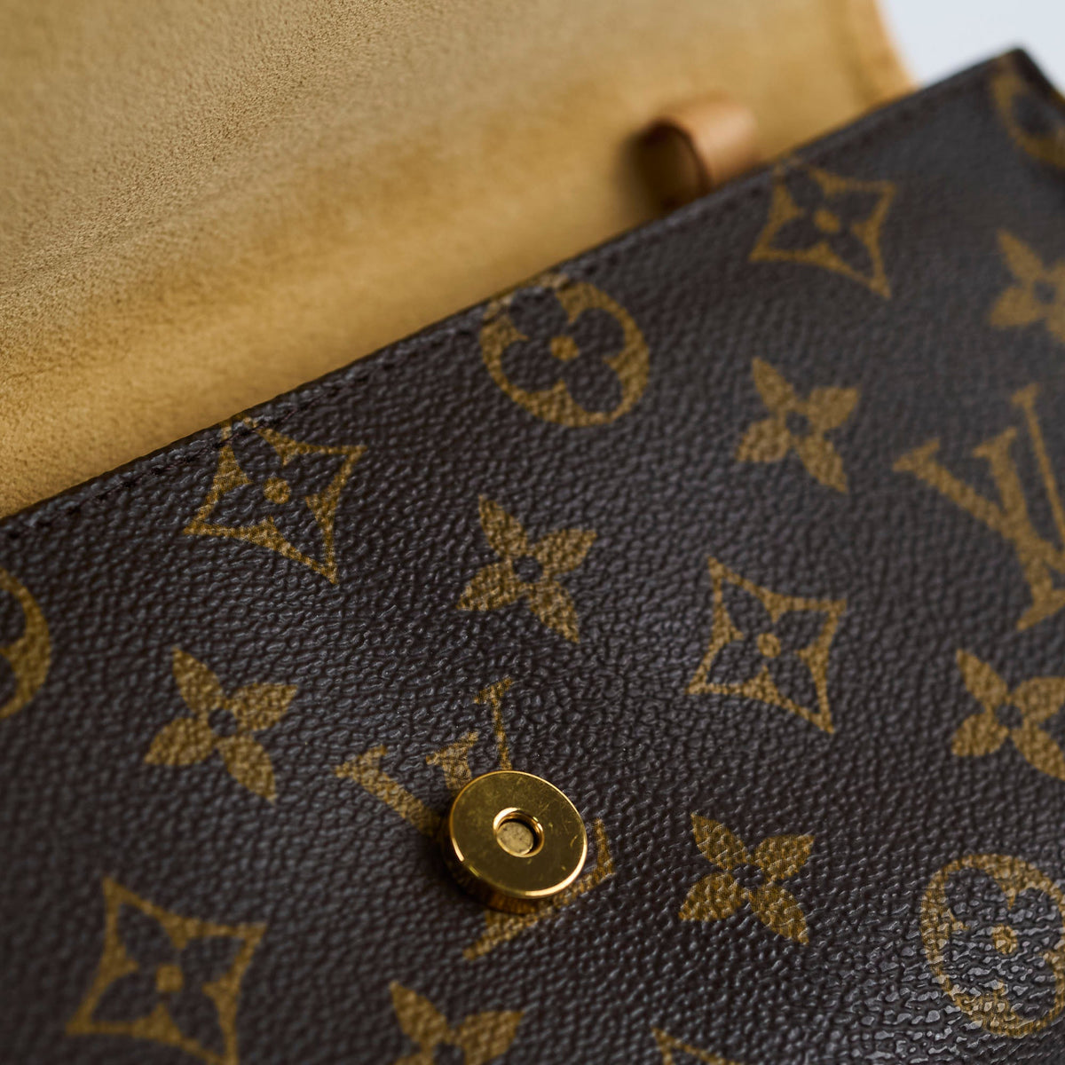 Louis Vuitton Twin Pochette GM Monogram - photo 6