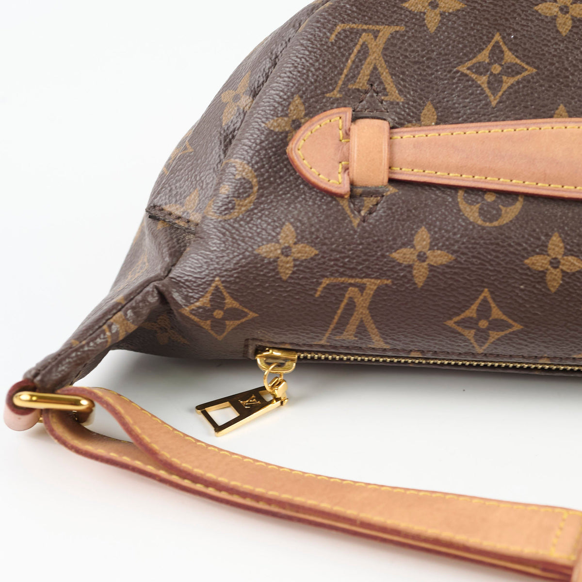 Louis Vuitton Bum Bag Monogram - photo 7