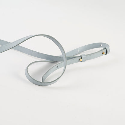 Celine Triomphe Mini Claude Sky Blue - photo 10
