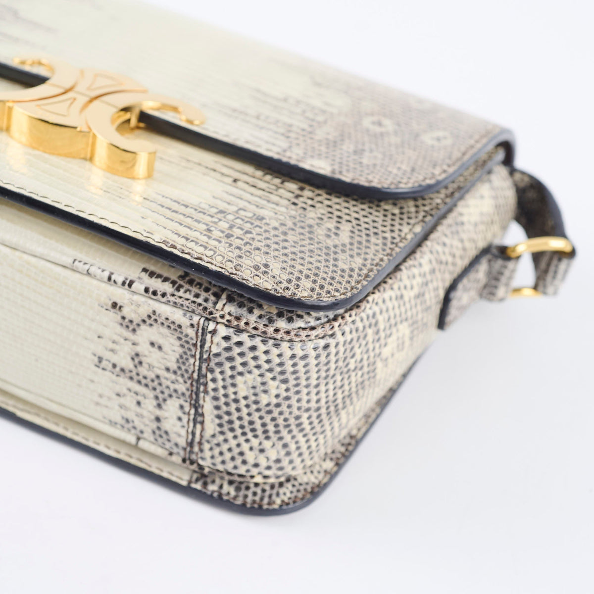 Celine Teen Triomphe Ombre Lizard - photo 5
