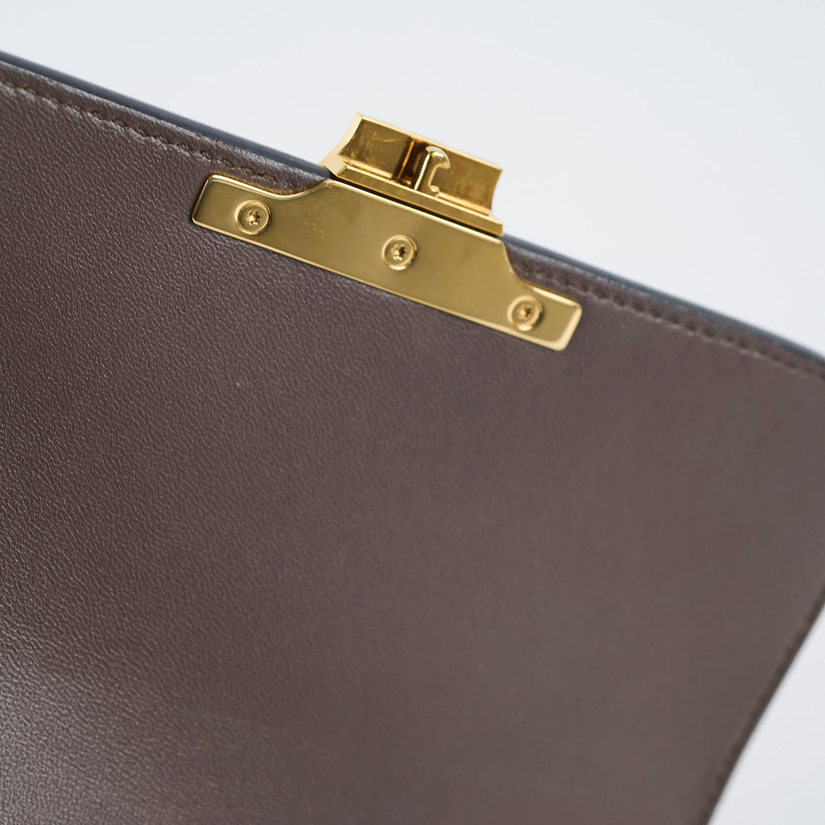 Celine Teen Triomphe Ombre Lizard - photo 9
