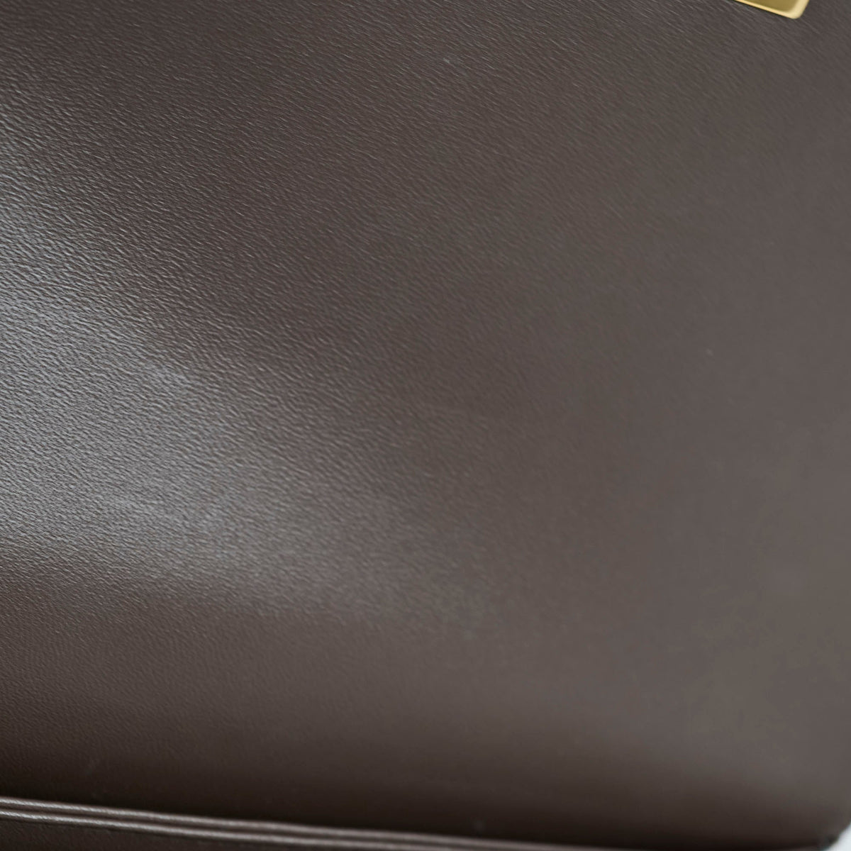 Celine Teen Triomphe Ombre Lizard - photo 10