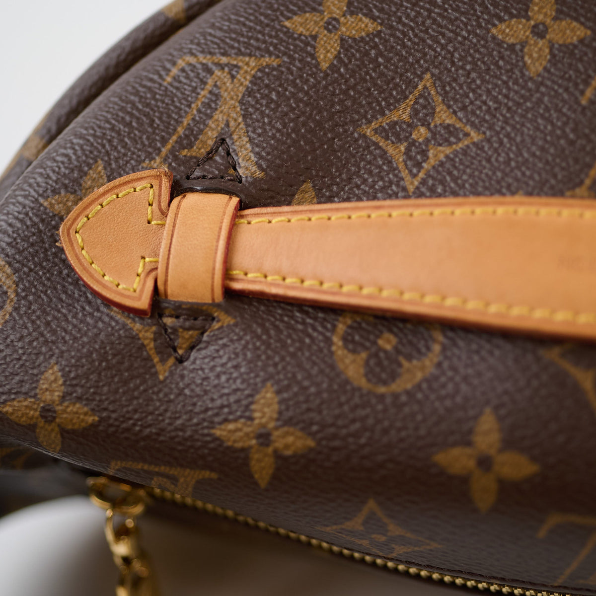 Louis Vuitton Monogram Bumbag - photo 4