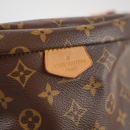 Louis Vuitton Monogram Bumbag - photo 9
