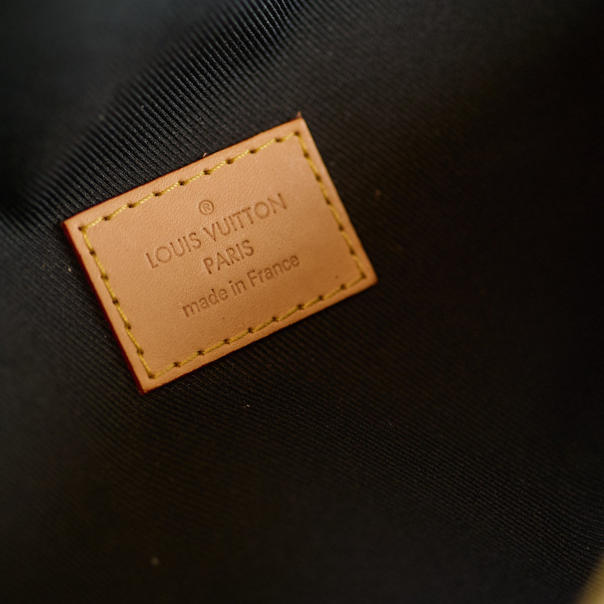 Louis Vuitton Monogram Bumbag - photo 6