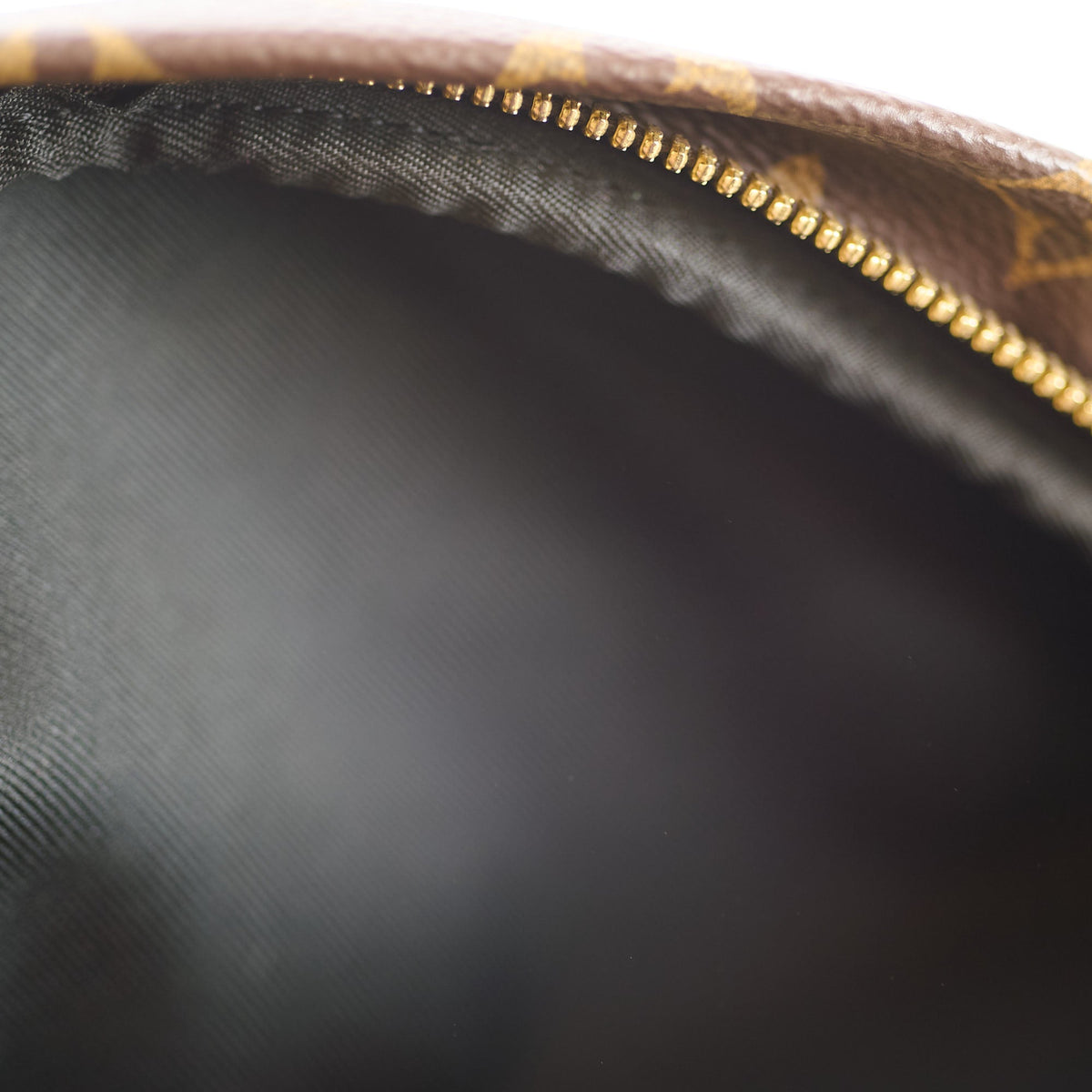 Louis Vuitton Monogram Bumbag - photo 7