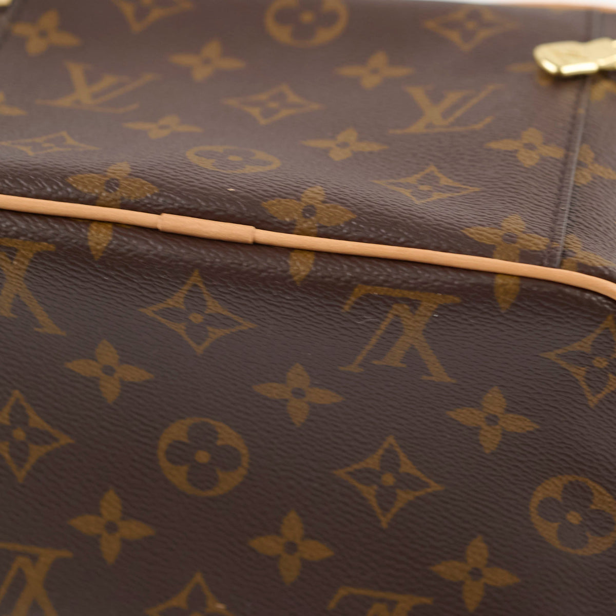 Louis Vuitton Nice Mini Monogram - photo 11