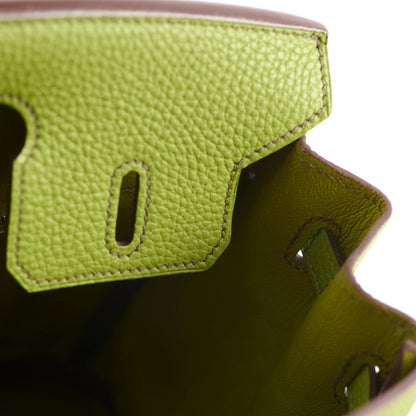 Hermes Birkin 25 Togo PHW Vert Anis M Square Stamp - photo 6
