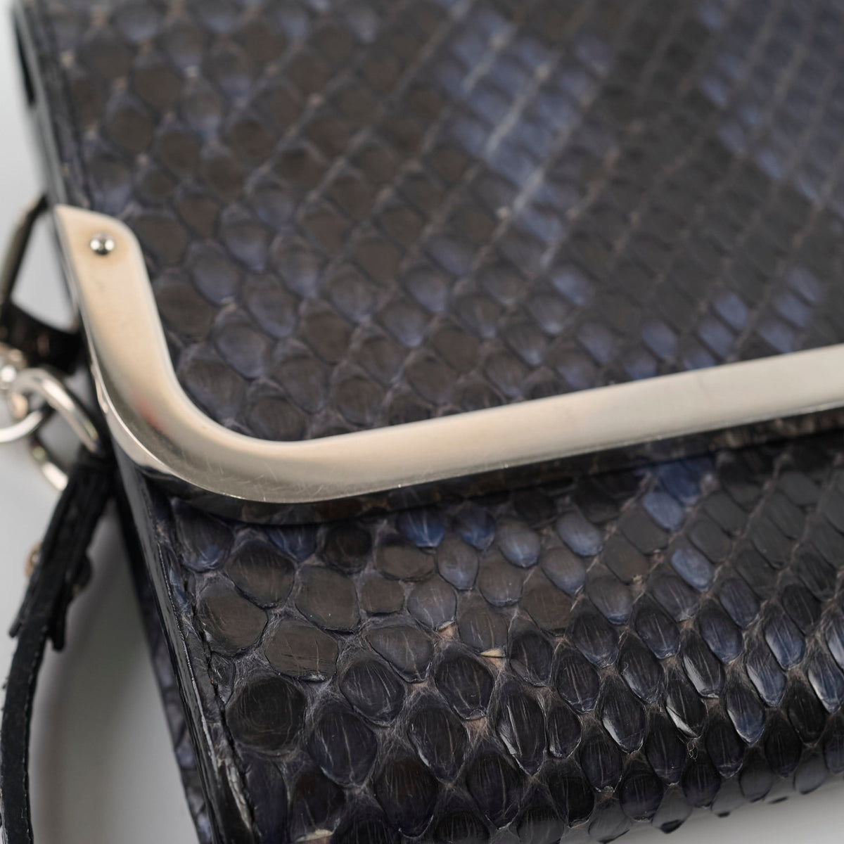 Louis Vuitton Snakeskin Shoulder Bag Navy - photo 12