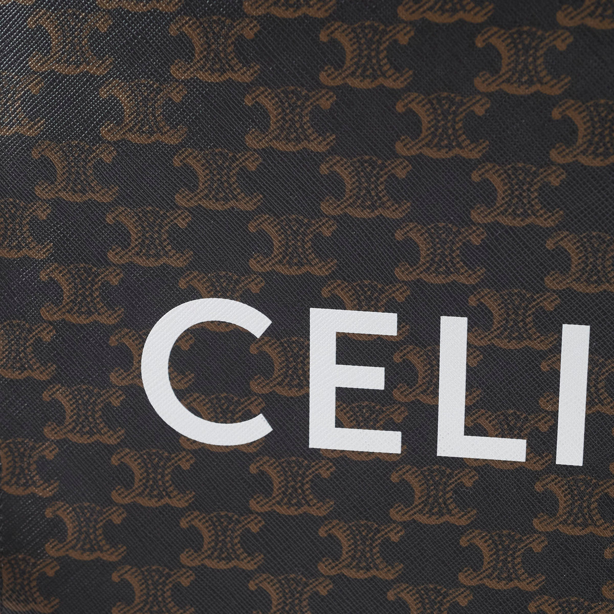 Celine Cabas Large Tote Brown - photo 13