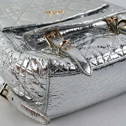 Dior Backpack Silver - photo 12