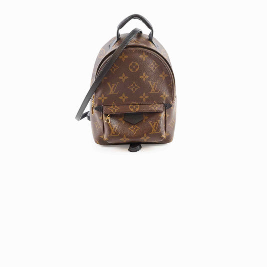 Louis Vuitton Palm Spring Backpack Mini Monogram - photo 1