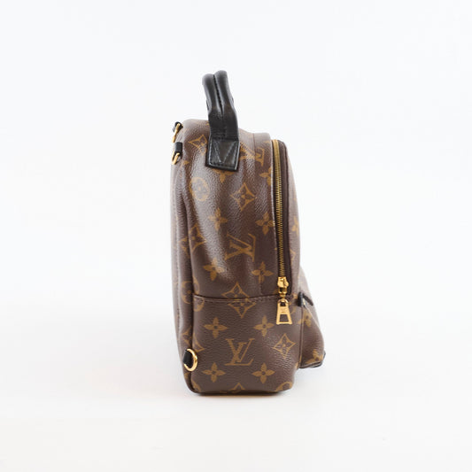 Louis Vuitton Palm Spring Backpack Mini Monogram - photo 2