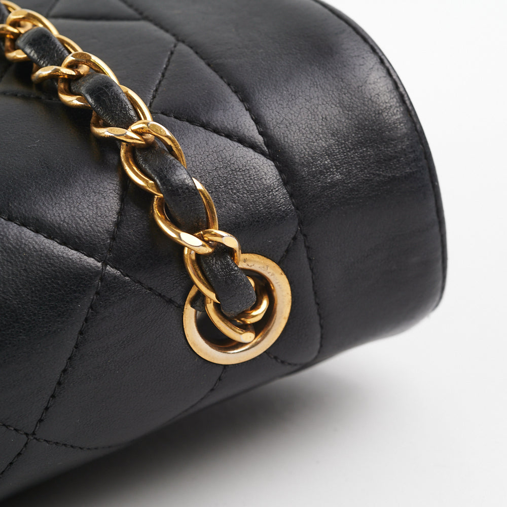 Chanel Medium Diana Black - photo 12