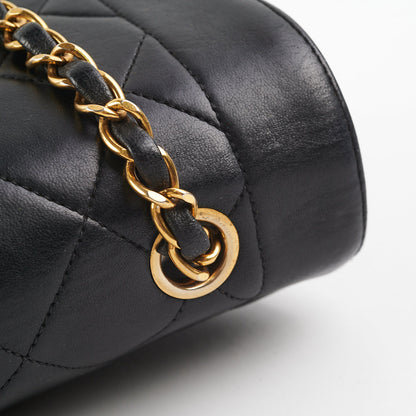 Chanel Medium Diana Black - photo 12