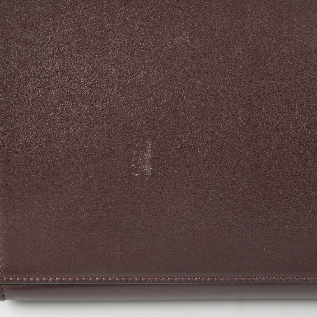 Celine Trapeze Two Toned Bag - photo 13