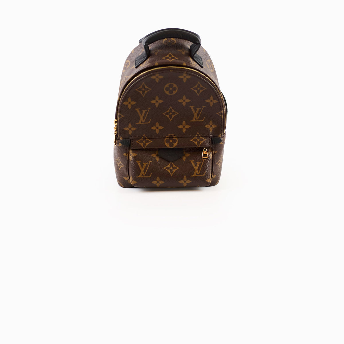 Louis Vuitton Palmspring Backpack Mini Monogram - photo 1