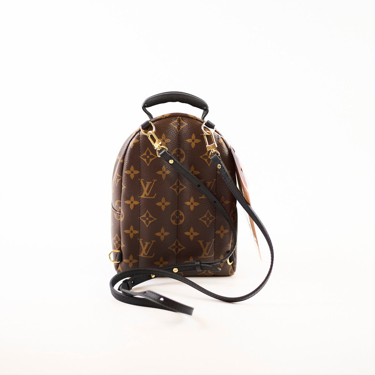 Louis Vuitton Palmspring Backpack Mini Monogram - photo 2