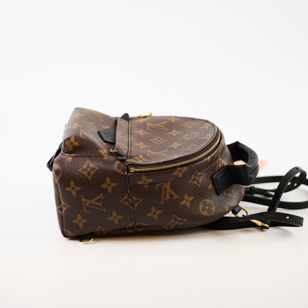 Louis Vuitton Palmspring Backpack Mini Monogram - photo 3