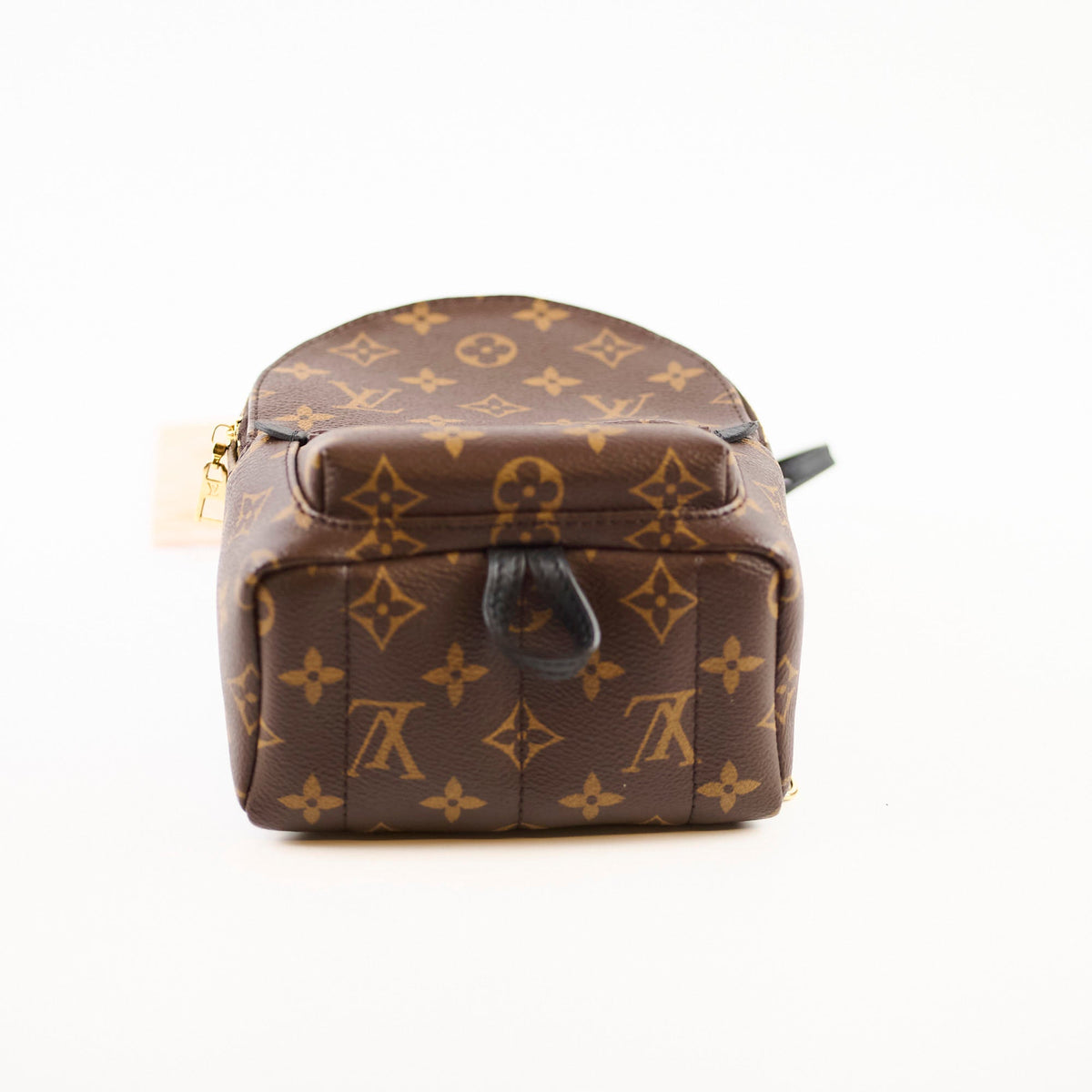 Louis Vuitton Palmspring Backpack Mini Monogram - photo 4