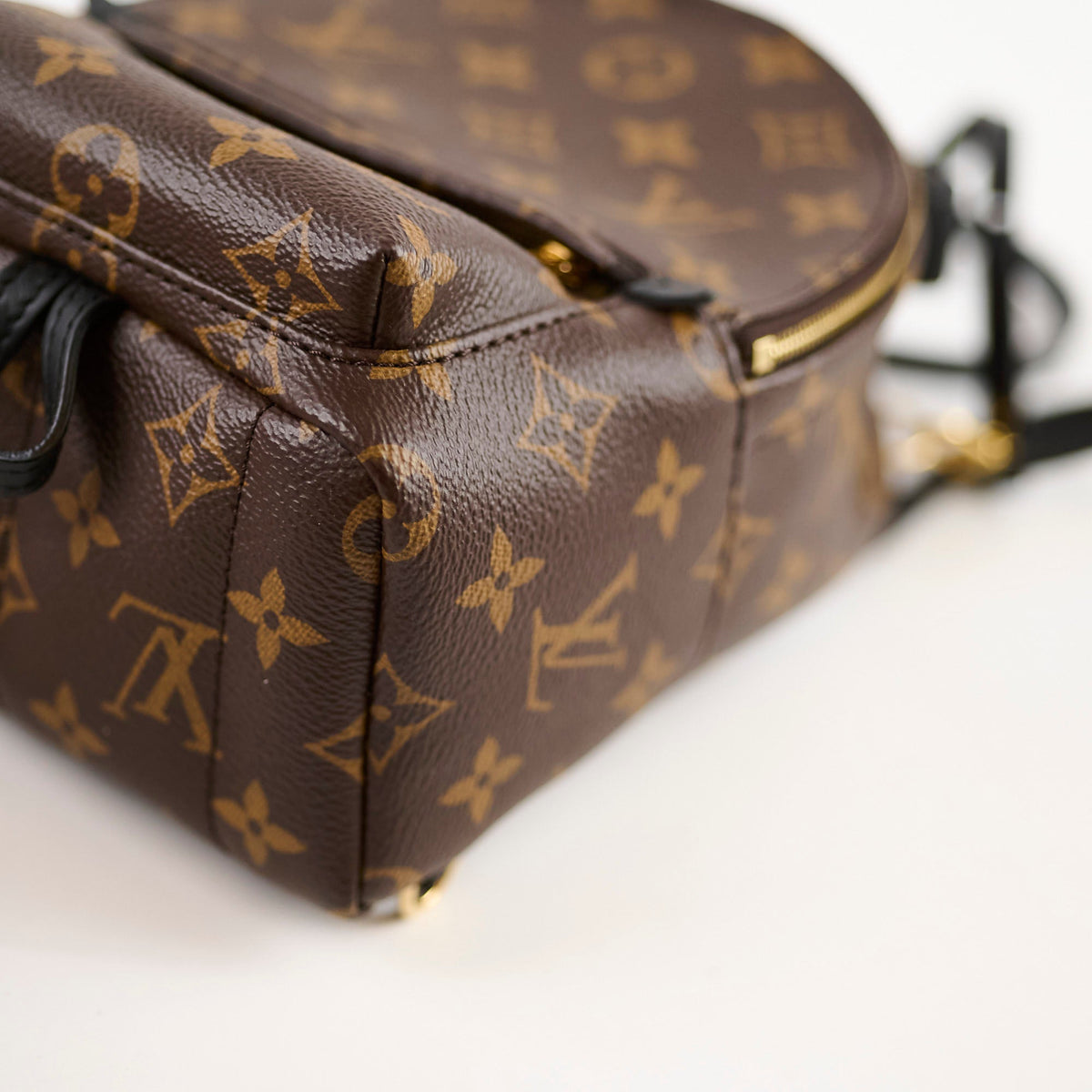 Louis Vuitton Palmspring Backpack Mini Monogram - photo 8