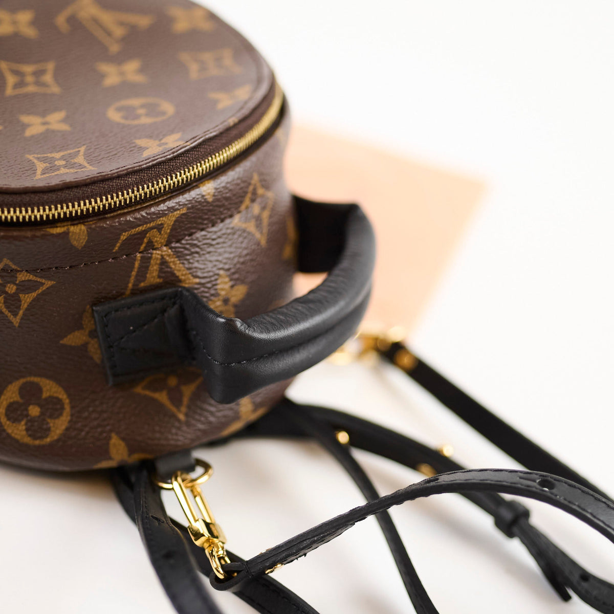 Louis Vuitton Palmspring Backpack Mini Monogram - photo 5