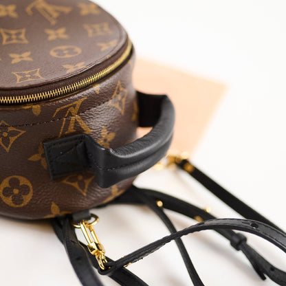 Louis Vuitton Palmspring Backpack Mini Monogram - photo 5