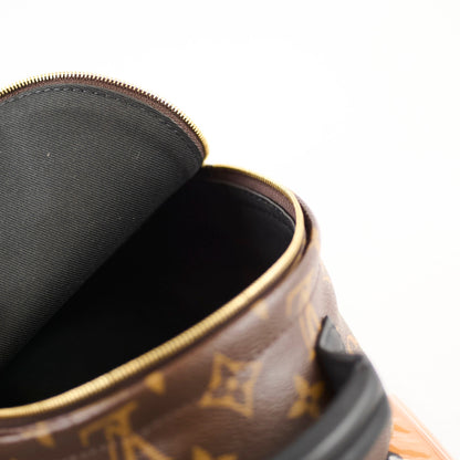 Louis Vuitton Palmspring Backpack Mini Monogram - photo 6