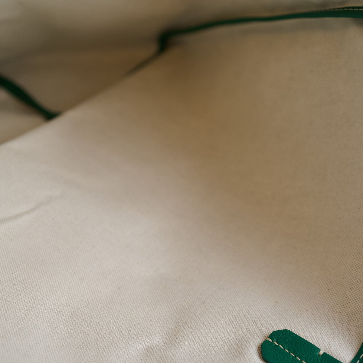 Goyard St Louis Tote GM Green - photo 8