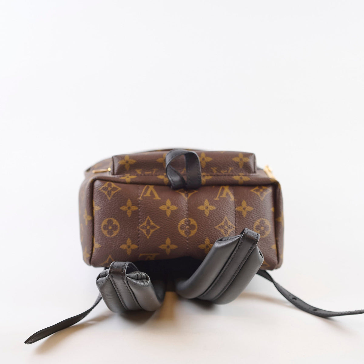 Louis Vuitton PM Palm Spring Backpack Monogram - photo 4