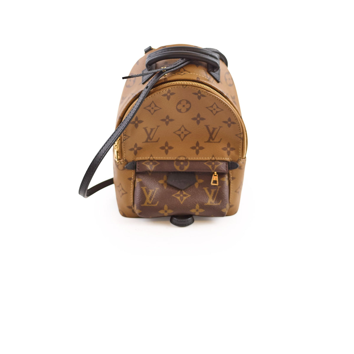 Louis Vuitton Mini Palm Springs Backpack Reverse Monogram - photo 1