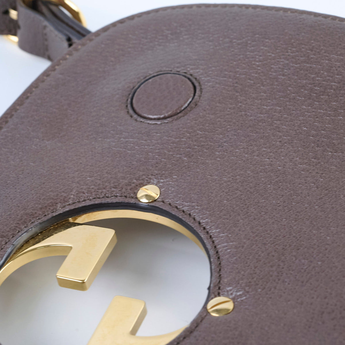 Gucci GG Supreme Blondie Bag Beige - photo 10