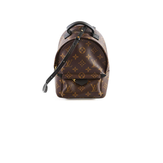Louis Vuitton Palm Springs Mini Monogram - photo 1