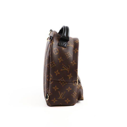 Louis Vuitton Palm Springs Mini Monogram - photo 2