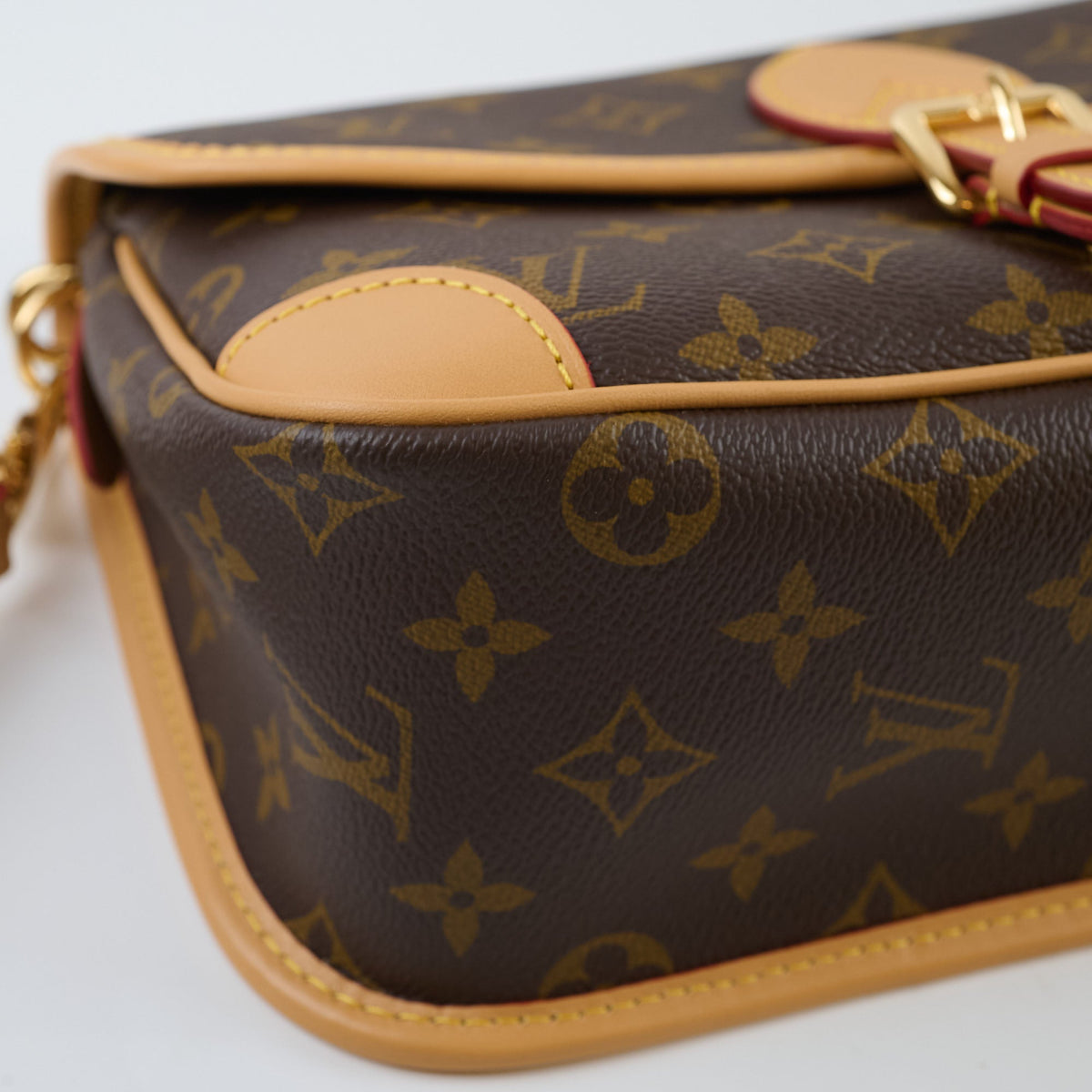 Louis Vuitton Diane Monogram Bag - photo 6
