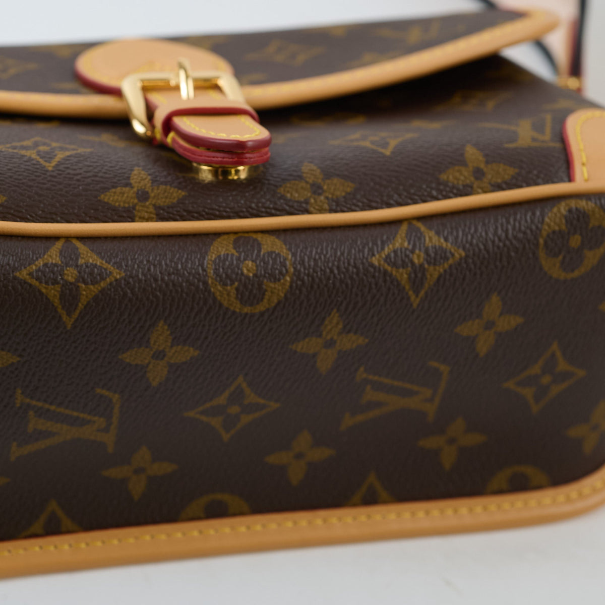 Louis Vuitton Diane Monogram Bag - photo 7