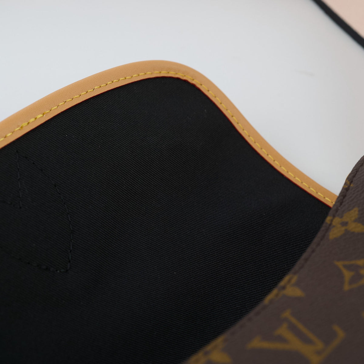 Louis Vuitton Diane Monogram Bag - photo 10