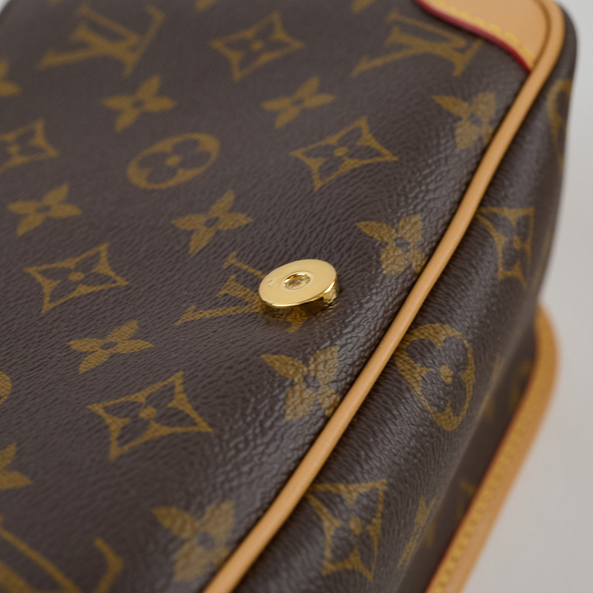 Louis Vuitton Diane Monogram Bag - photo 12