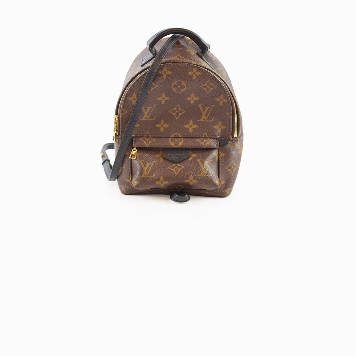 Louis Vuitton Mini Palm Spring Monogram - photo 1