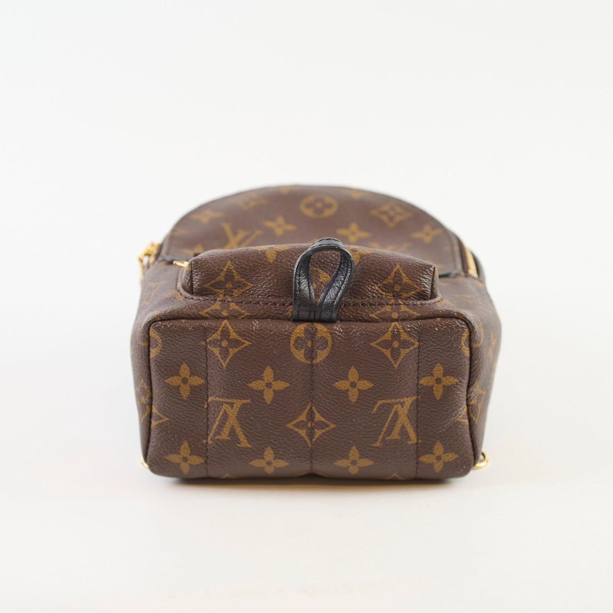 Louis Vuitton Mini Palm Spring Monogram - photo 4