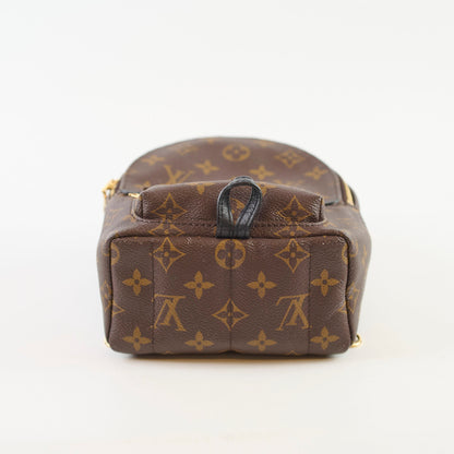 Louis Vuitton Mini Palm Spring Monogram - photo 4